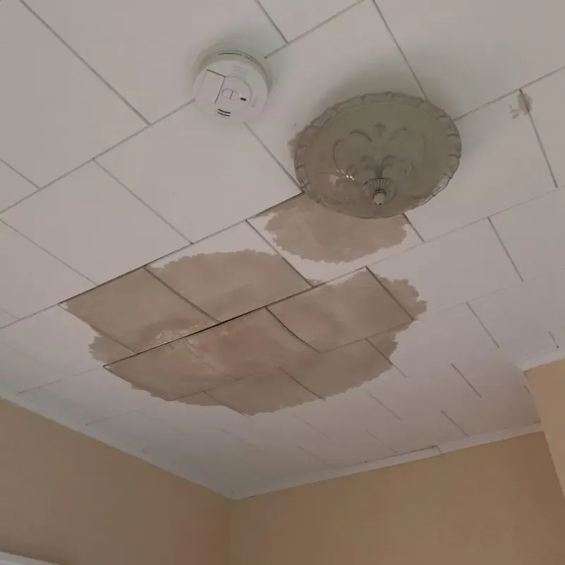 Ceiling Water Damage Repair in Fairbury, NE