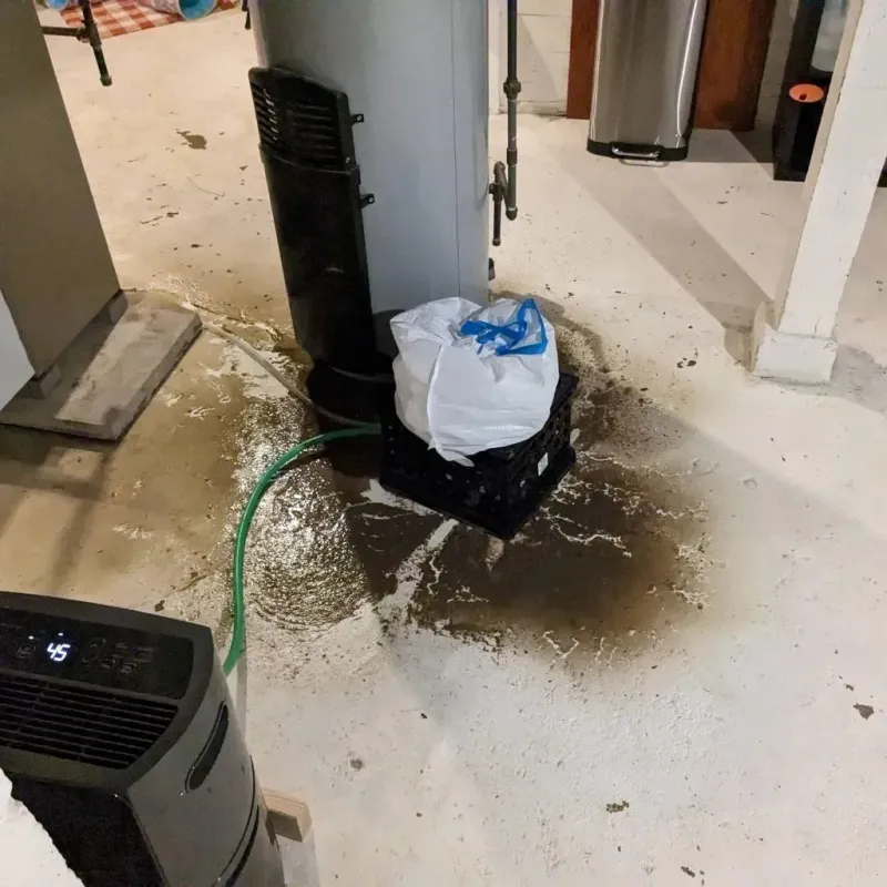 Sewage Backup Cleanup Service in Fairbury, NE